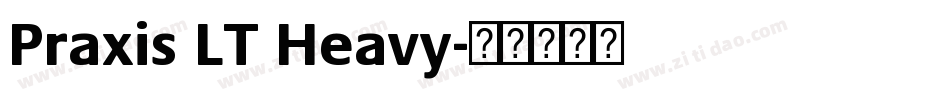 Praxis LT Heavy字体转换